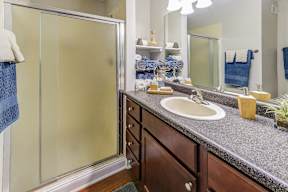 Signature Series Master Bathroom at Somerset Lakes
