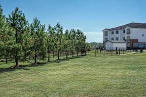 A grassy field with trees and a building in the background.