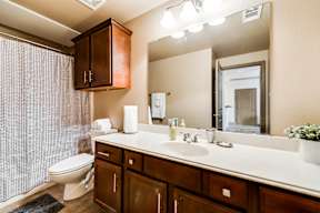 Apartment bathroom with large vanity and ample storage at Timber Creek Apartments