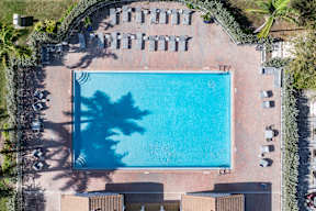An aerial view of a swimming pool surrounded by sun loungers and trees.