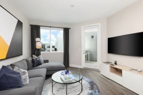 Modern living room featuring a gray couch, sleek coffee table, and flat-screen television.