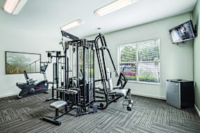 A gym room with a variety of equipment including a treadmill, weights, and a television.