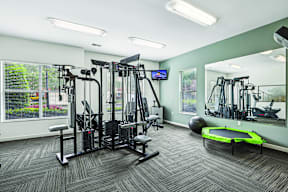 A gym with a variety of equipment including a treadmill, weights, and a bench.