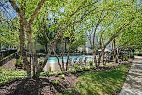A pool surrounded by trees and a fence.