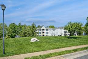 A grassy area with a building in the background and a lamp post on the left.
