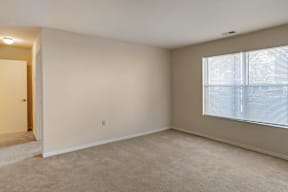 Carpeted Room with Large Window
