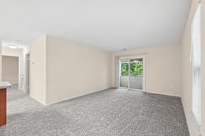 A room with a grey carpet and a window with blinds.