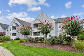 A row of houses with trees and flowers in front.
