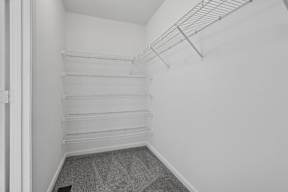 A white closet with shelves and a carpeted floor.
