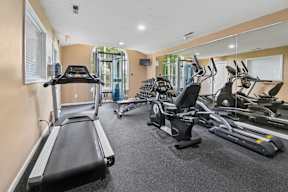 A gym with treadmills, elliptical machines, and other exercise equipment.