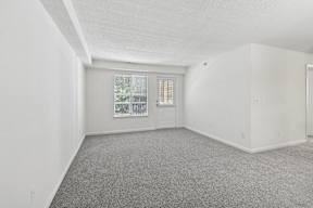 A room with a carpeted floor and a window.