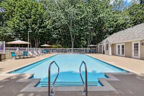 A large swimming pool surrounded by trees and a fence with sun loungers.