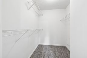 A white closet with a grey carpet.