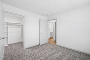 A carpeted room with a door and a closet.