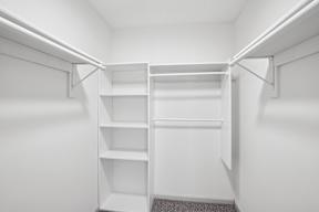 A white closet with shelves and a grey carpet.