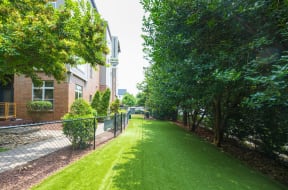 a view of a yard with trees and a fence