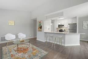A modern kitchen with a bar and a rug on the floor.