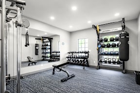 A gym with a variety of equipment including weights and a punching bag.