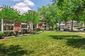 a grassy area with trees and buildings in the background