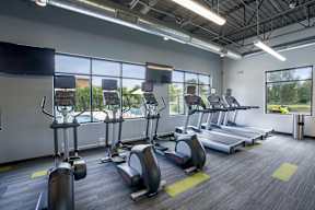 A gym with treadmills and elliptical machines.