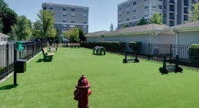 Dog Park- The Mil'Ton in Vernon Hills