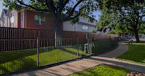 A tree in a yard behind a fence.