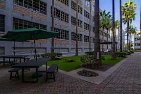 A patio with a table and benches is surrounded by a brick wall and palm trees.