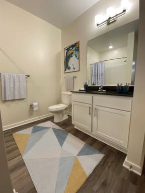 a bathroom with a toilet sink and mirror and a rug