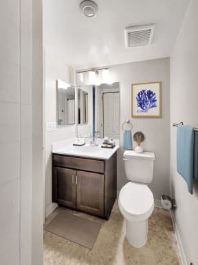 a bathroom with a toilet and a sink and a mirror