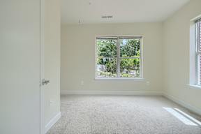 A room with a carpeted floor and a window overlooking a green area.