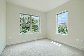 A room with two windows and carpeted floor.