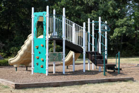 community playground with a slide and climbing equipment