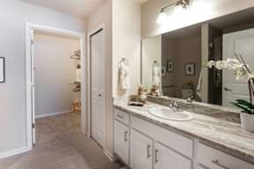 A bathroom with a sink, mirror, and a potted plant.