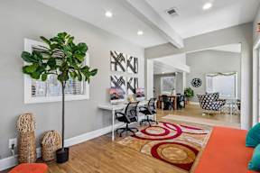 A room with a white desk and a green plant.