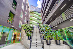 A staircase with plants on the side.