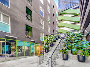 A staircase with plants on the side.