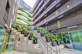 A staircase with plants on the side.