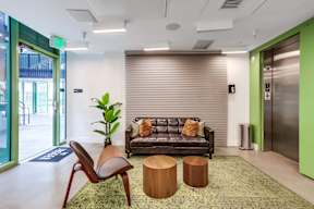 A modern office space with a green accent wall and a grey couch.