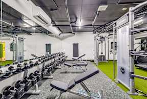 A gym with a row of benches and a row of dumbbells.