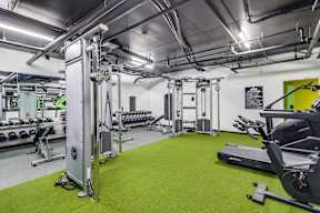 A gym with a green floor and various exercise machines.