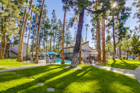 Shasta Lane Apartments in La Mesa, San Diego County, California with one and two bedrooms, swimming pool and pet friendly apartments.