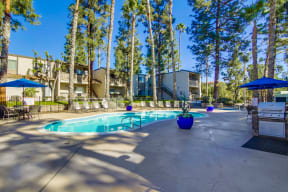 Shasta Lane Apartments in La Mesa, San Diego County, California with one and two bedrooms, swimming pool and pet friendly apartments.
