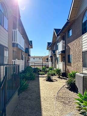 A sunny day in a row of houses with a fence and plants in the front.