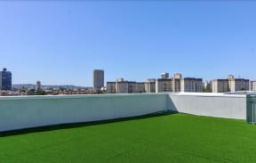 a lawn on the roof of a building with a city in the background