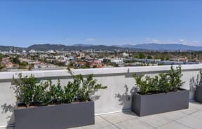Roof top