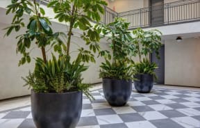 courtyard