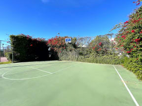 Paradise Gardens Apartments in Long Beach California.