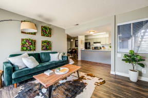 Apartment Living Room Evria Apartment Homes in Diamond Valley California.