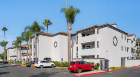 a white building with palm trees and cars parked in a parking lot