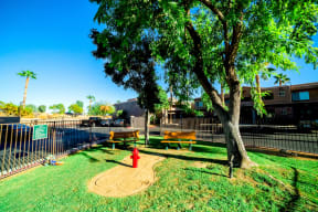 dog park at  Villa Boutique Apartment Homes in Palm Springs California.
